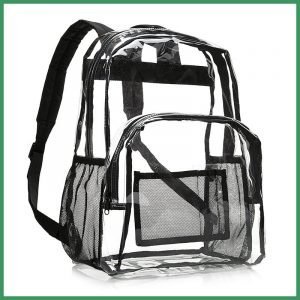 Fashion 2020 Clear PVC Backpack