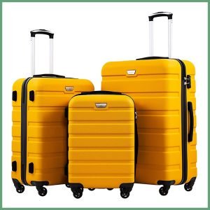 Luggage Sets 3 Piece Spinner Suitcase 19 24 28 inch