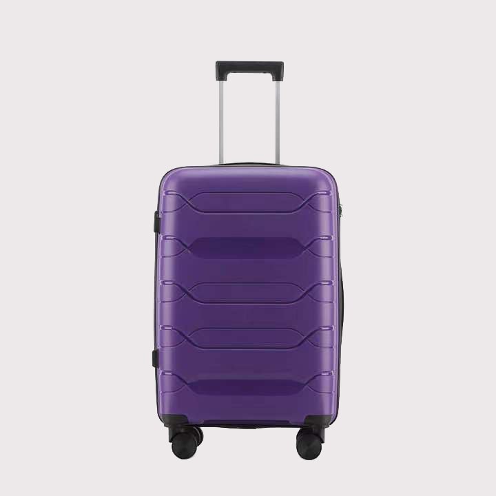 PP luggage